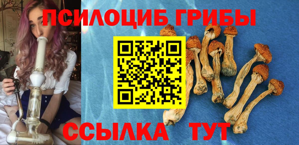 Псилоцибиновые грибы Psilocybe Богданович